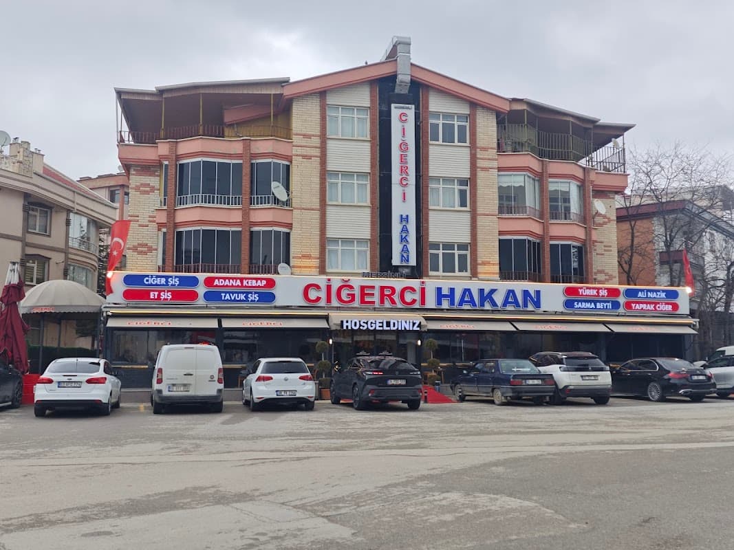 Mersinli Ciğerci Hakan - Polatlı