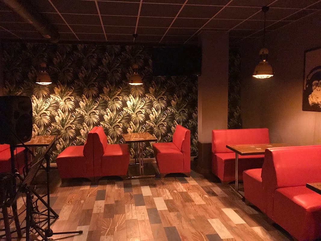 Kaktüs PUB Bayramiç - Bayramiç