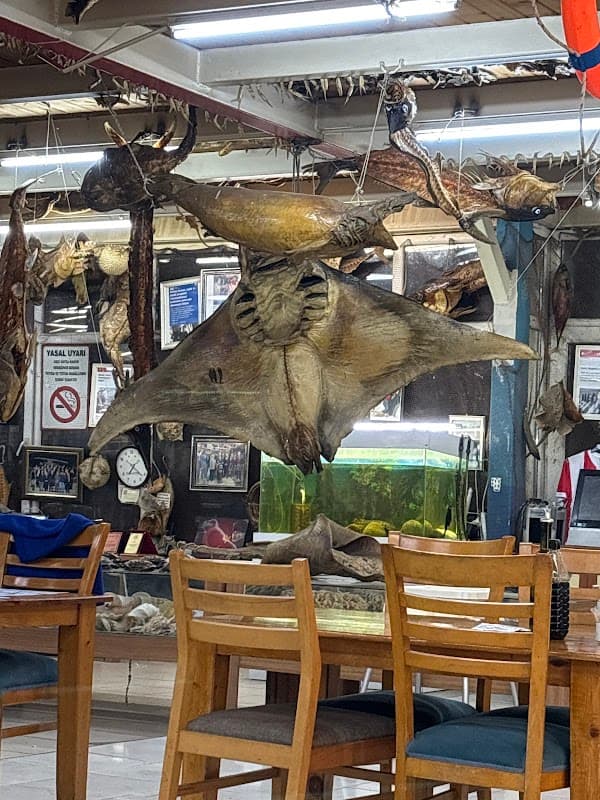 Balıkçı Kenan - Beylikdüzü