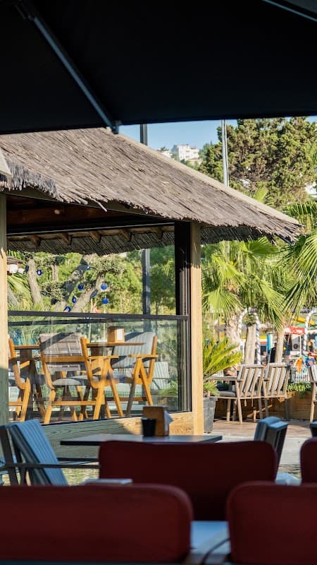 Festival Cafe - Kafe