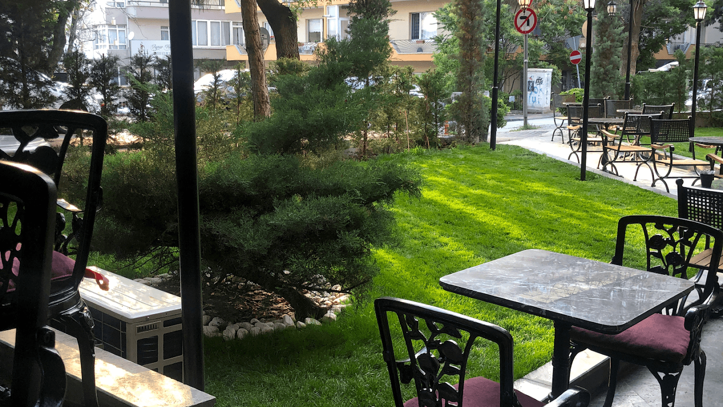 Mojo and More - Çankaya
