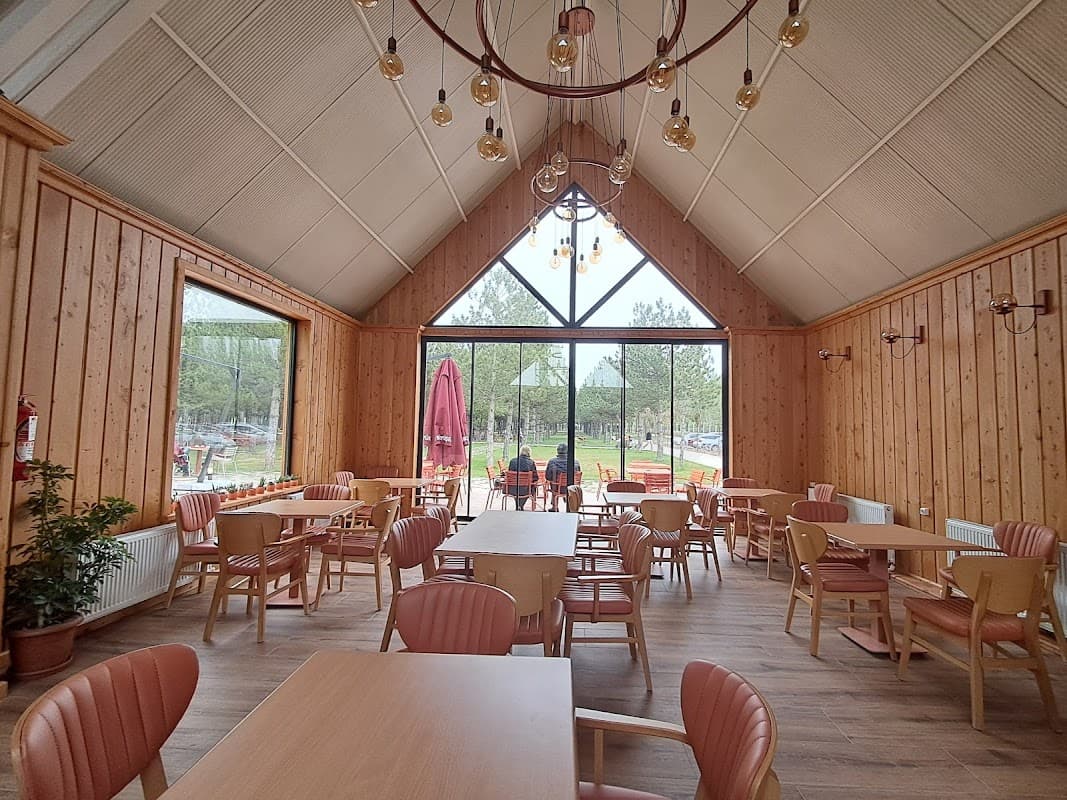 EBB Yaşam Kafe - Odunpazarı Kafe